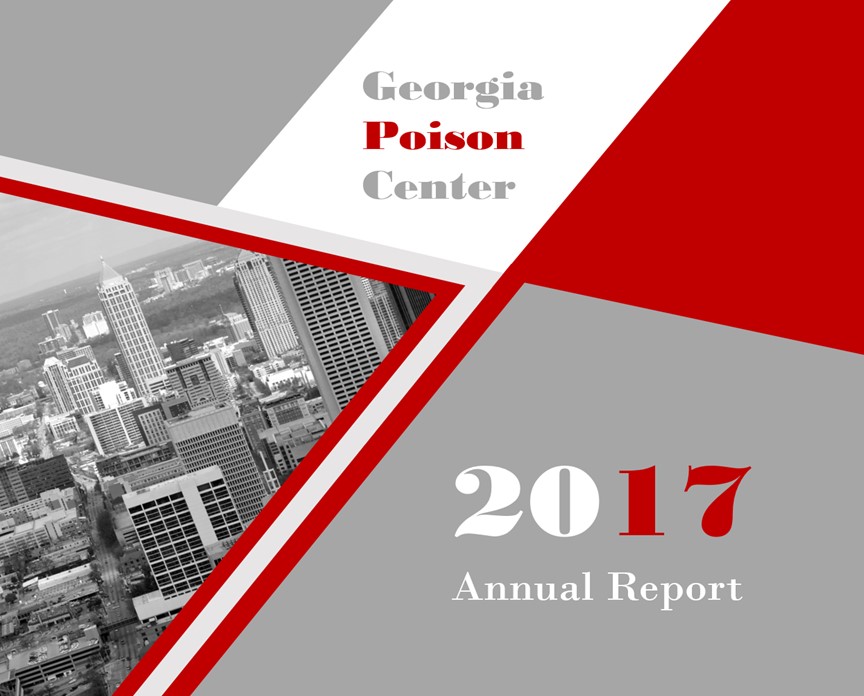 2017 Annual Report