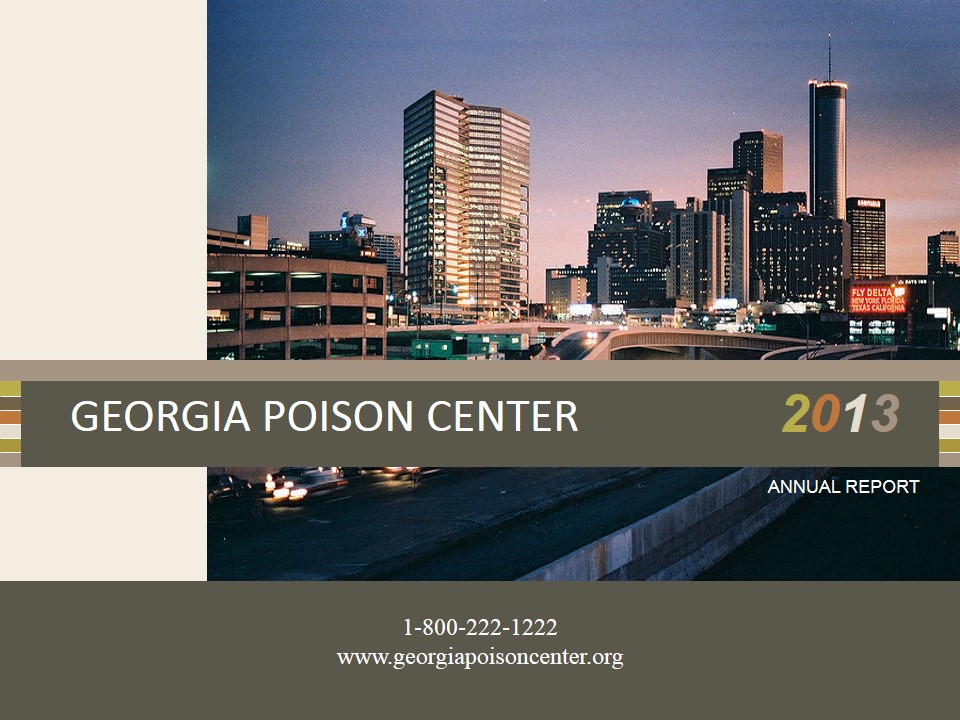 2013 Annual Report
